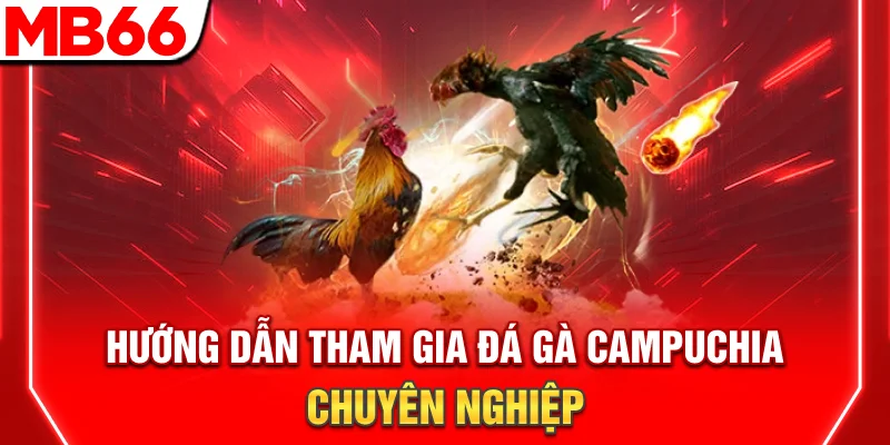 Đá Gà Campuchia - Hướng Dẫn Tham Gia Chuyên Nghiệp 6 Đá Gà Campuchia - Hướng Dẫn Tham Gia Chuyên Nghiệp